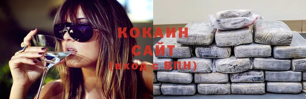ГАЛЛЮЦИНОГЕННЫЕ ГРИБЫ Аркадак