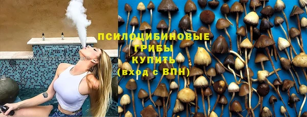 каннабис Арсеньев