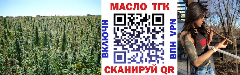 ТГК THC oil  как найти   Саяногорск 