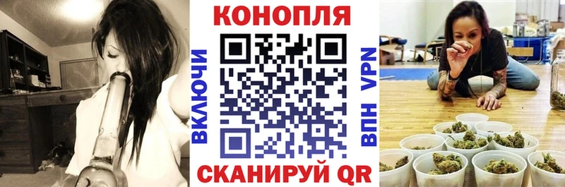 Шишки марихуана OG Kush  Саяногорск 